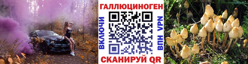 Псилоцибиновые грибы Psilocybine cubensis  mega как зайти  Сальск 