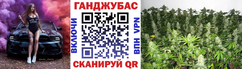 mega   Сальск  Каннабис гибрид 