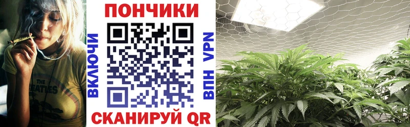 Марихуана THC 21% Сальск